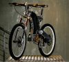 M55 Hybrid Bike Beast