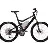 Riese Mller Delite Hybrid 250 Ht