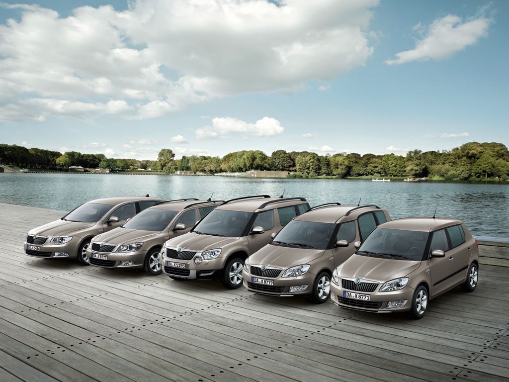 Skoda Fabia FAMILY (2012)