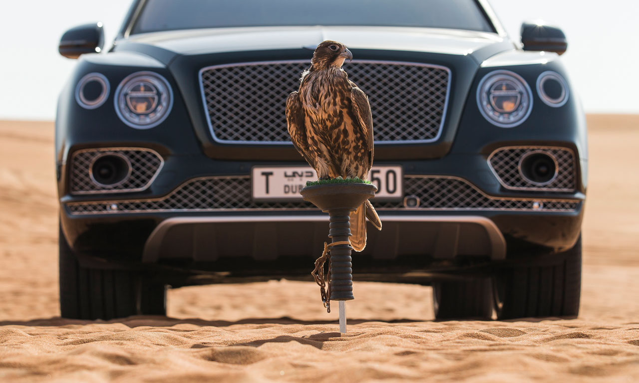 Bentley Bentayga Mulliner AUTOmativ.de 8 - Bentley Bentayga Falconry von Mulliner: Der schnellste Vogelkäfig der Welt