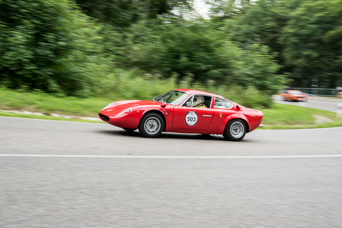 Solitude Revival 2017 Leonberg Stuttgart Porsche Mercedes Benz Solitude AUTOmativ.de Benjamin Brodbeck Teilnehmer 56 - Solitude Revival 2017: Impressionen und Fahrzeuge der Teilnehmer