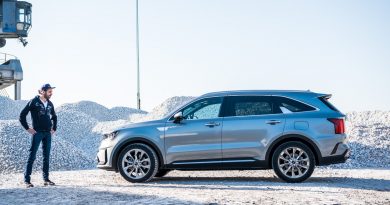 Kia Sorento 2.2 CRDi 2021 Remote Parking Test Fahrbericht AUTOmativ.de 93 390x205 - Kia Sorento 2.2 CRDi AWD (2021) im Test: Kann er Premium oder nur Ami?