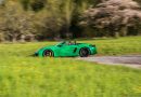 Porsche 718 Boxster GTS 4.0 PDK im Test: Kills bugs wirklich fast?
