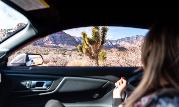 Ford Mustang 2.3l EcoBoost 2026 im Test und Fahrbericht in USA Roadtrip USA Las Vegas AUTOmativ.de Test 259 750x450 - Von Neon in die Natur - mit dem neuen Ford Mustang